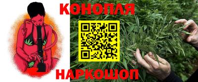 прущие крисы Малгобек