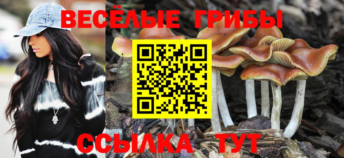 Псилоцибиновые грибы Psilocybine cubensis  Галлюциногенные грибы Psilocybe  Вход с VPN  Верхняя Пышма 