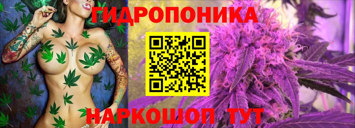 Конопля сатива  Вход с VPN  Канабис Ganja  Бошки марихуана Bruce Banner  Шишки марихуана гибрид  Верхняя Пышма 